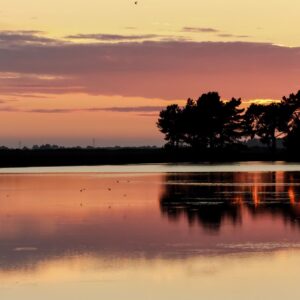 Silent Horizon